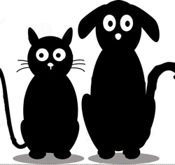 Un gattino nero e un cagnolino nero (di Franco Petramala)
